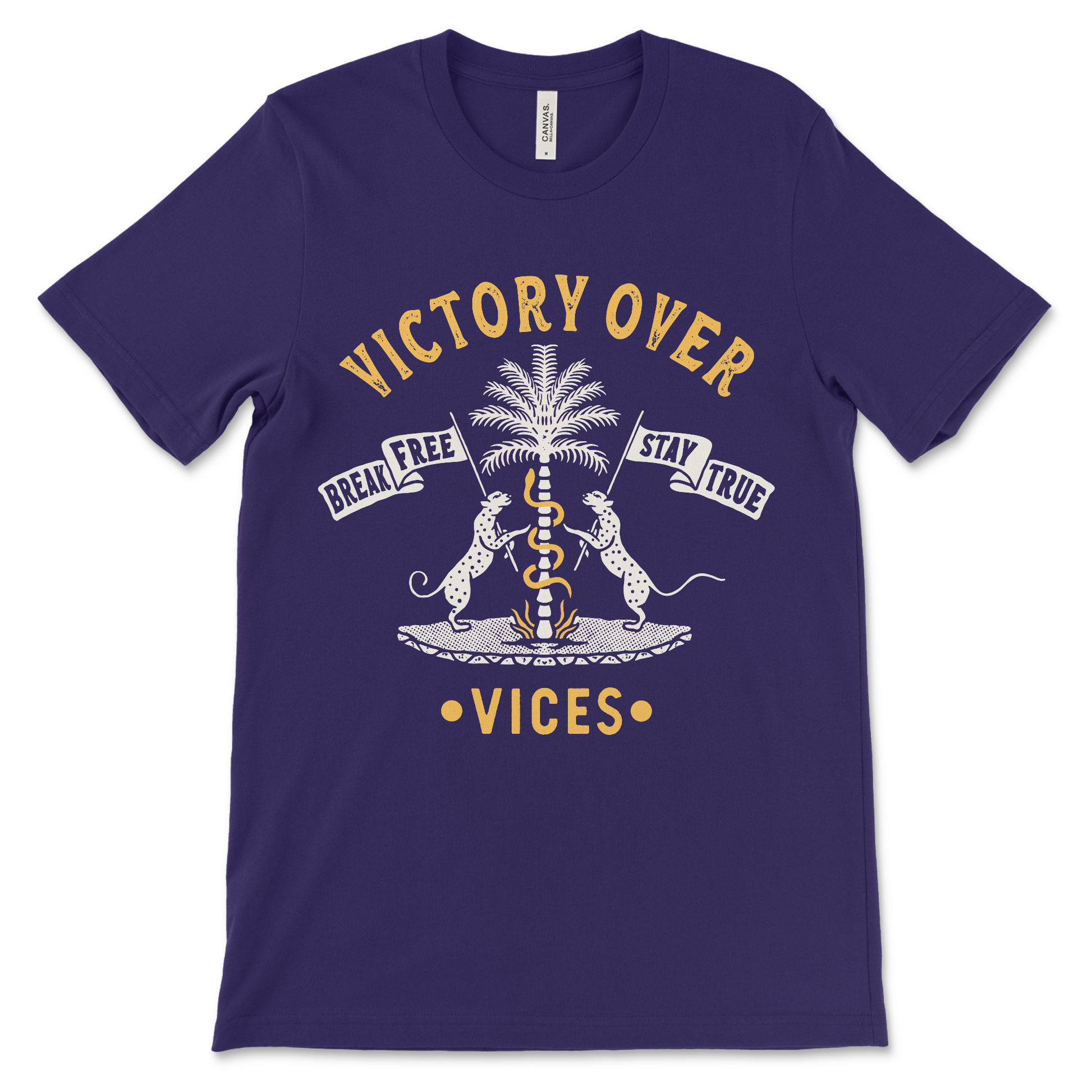 Recovery shirt with motivational Victory Over Vices phrase, sober gift idea for clean lifestyle
