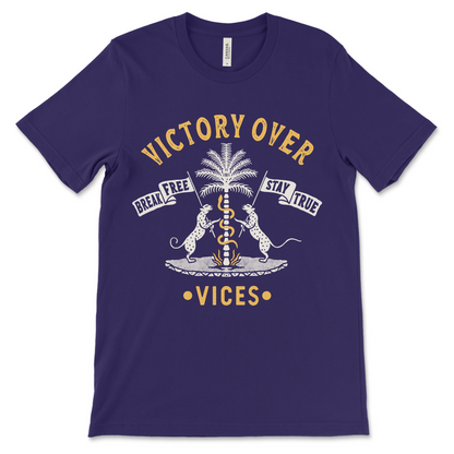 Recovery shirt with motivational Victory Over Vices phrase, sober gift idea for clean lifestyle

