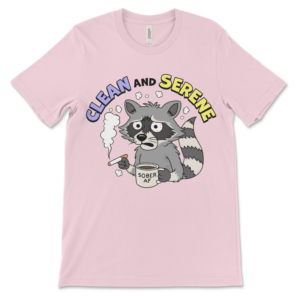 Recovery clothing shirt for 12 step meetings, NA meetings and AA meetings shirt for sober lifestyle