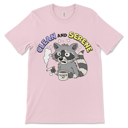 Recovery clothing shirt for 12 step meetings, NA meetings and AA meetings shirt for sober lifestyle