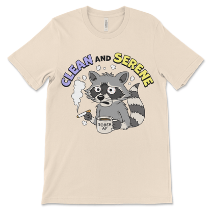 Funny sobriety shirt with raccoon graphic, AA shirt NA shirt sober apparel