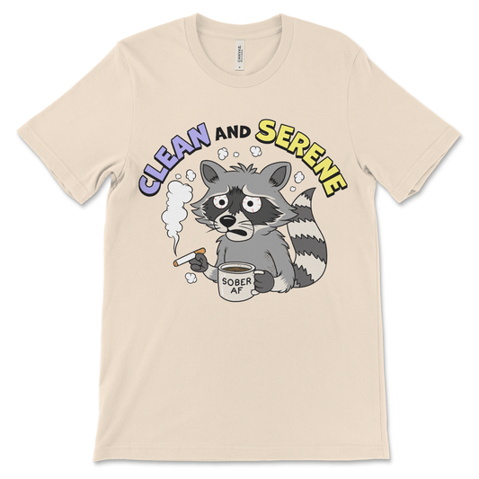 Funny sobriety shirt with raccoon graphic, AA shirt NA shirt sober apparel