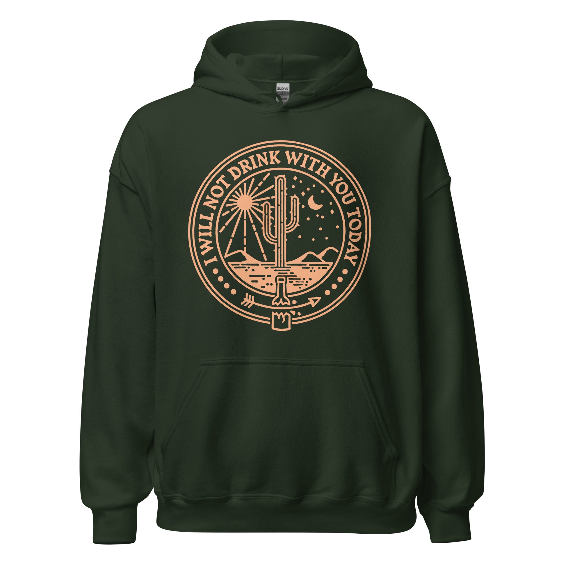 Anti drinking hoodie for people in recovery, Alcoholics Anonymous sweatshirt with IWNDWYT message
