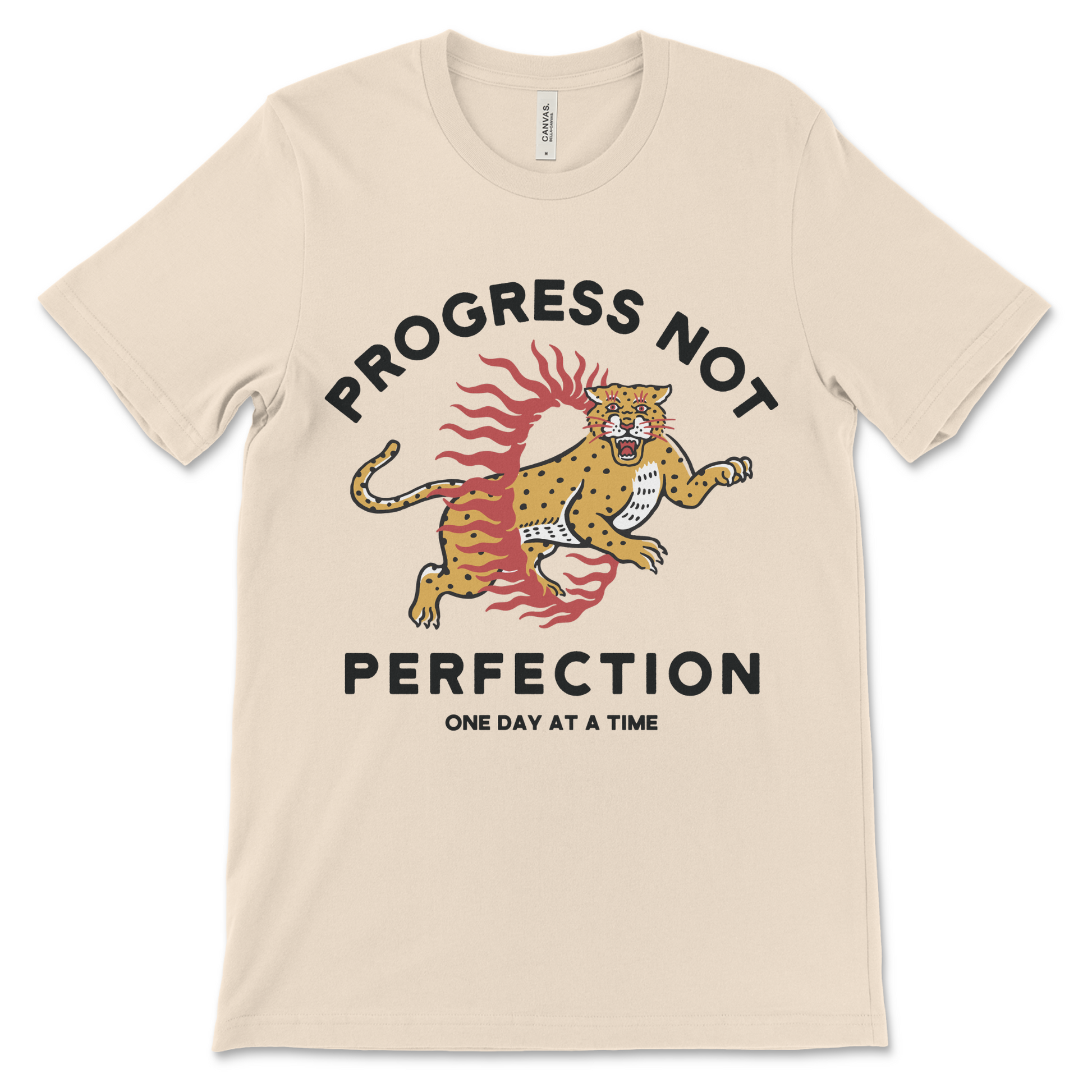 Recovery shirt with progress not perfection slogan AA shirt NA shirt