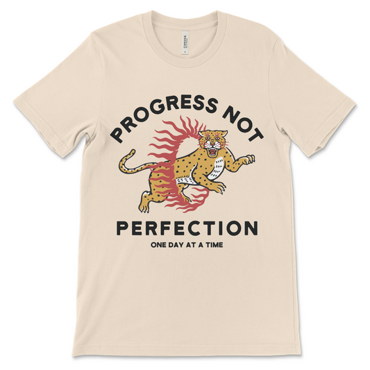 Recovery shirt with progress not perfection slogan AA shirt NA shirt