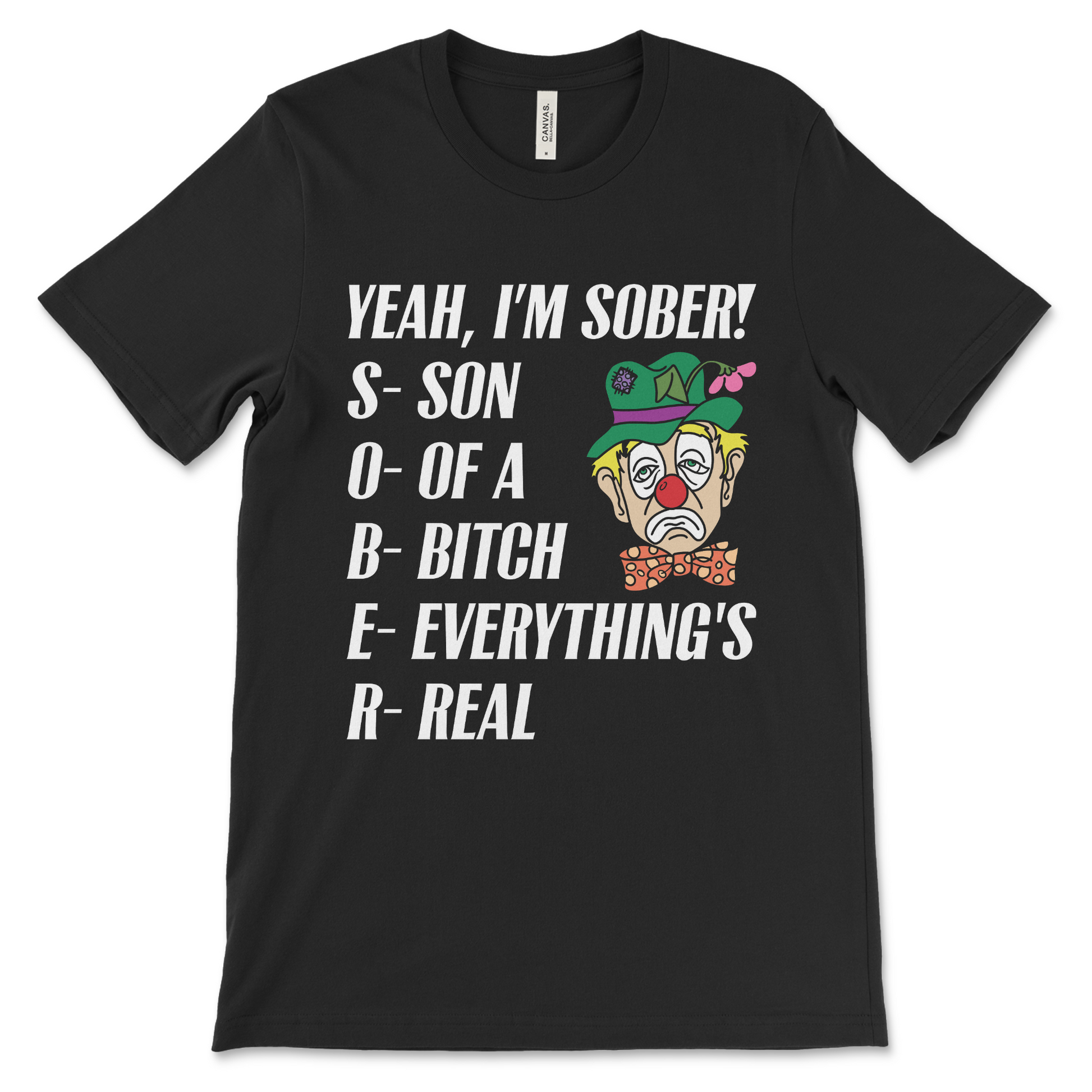 Son of a Bitch Everything’s Real recovery shirt, funny AA shirt and NA shirt with 12-step humor
