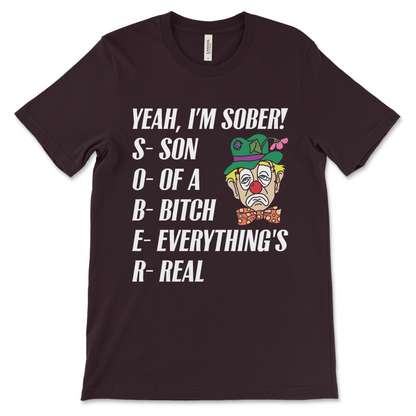 Funny sobriety shirt with Son of a Bitch Everything’s Real slogan, AA and NA recovery apparel
