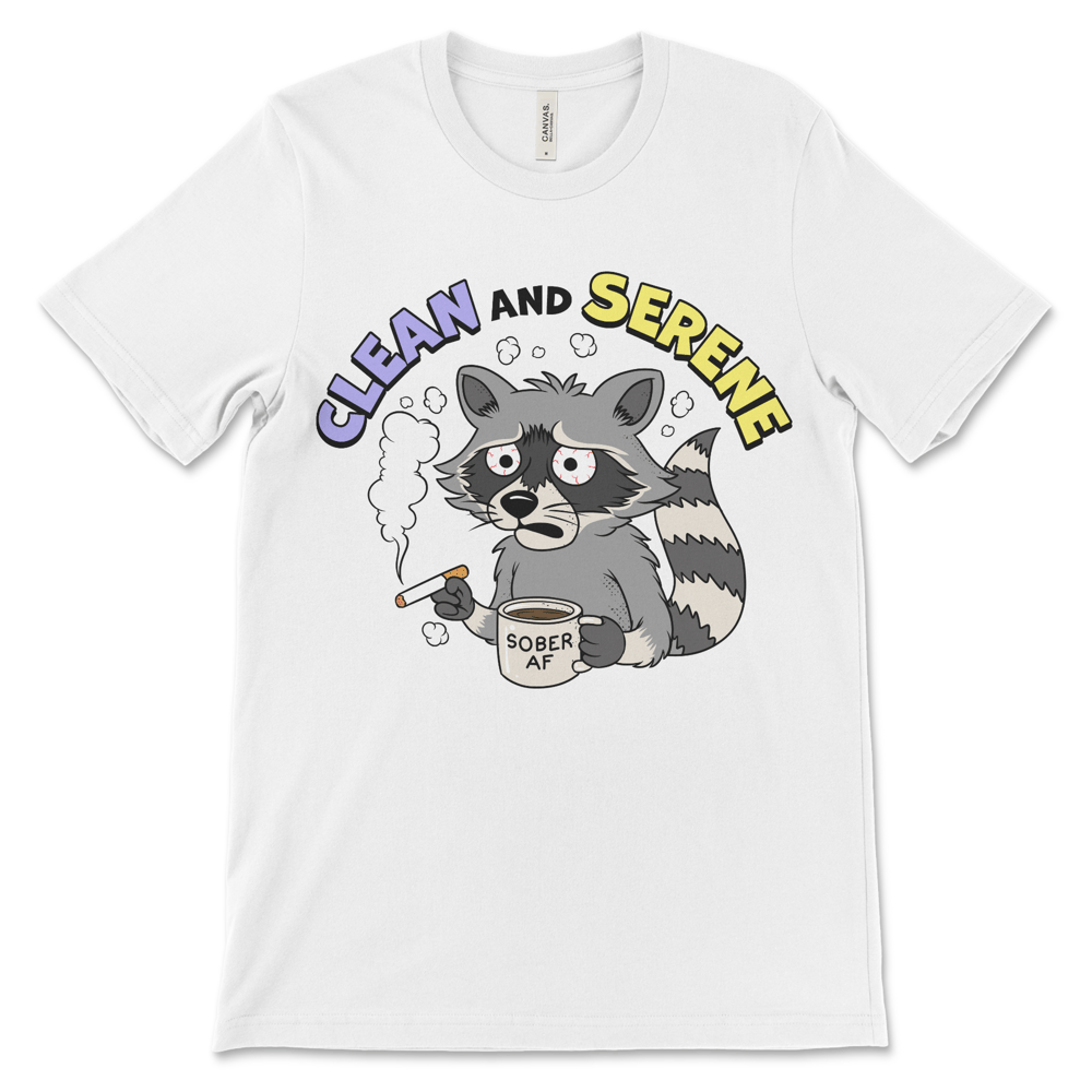 Recovery shirt for clean time, 12-step shirt and sober clothing gift