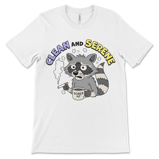Recovery shirt for clean time, 12-step shirt and sober clothing gift